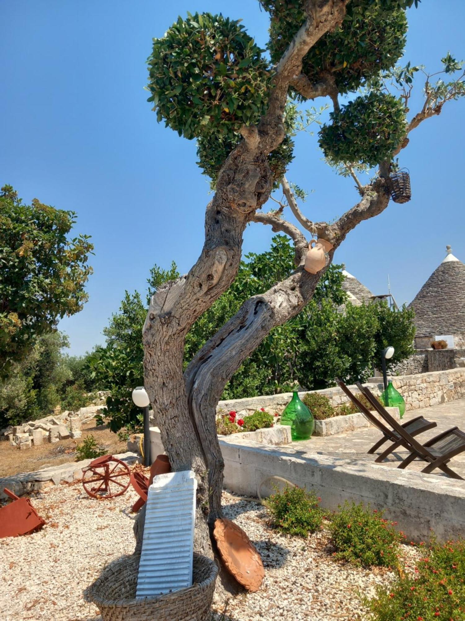 Гостьовий будинок Trullo Monte Del Sale Альберобелло Екстер'єр фото