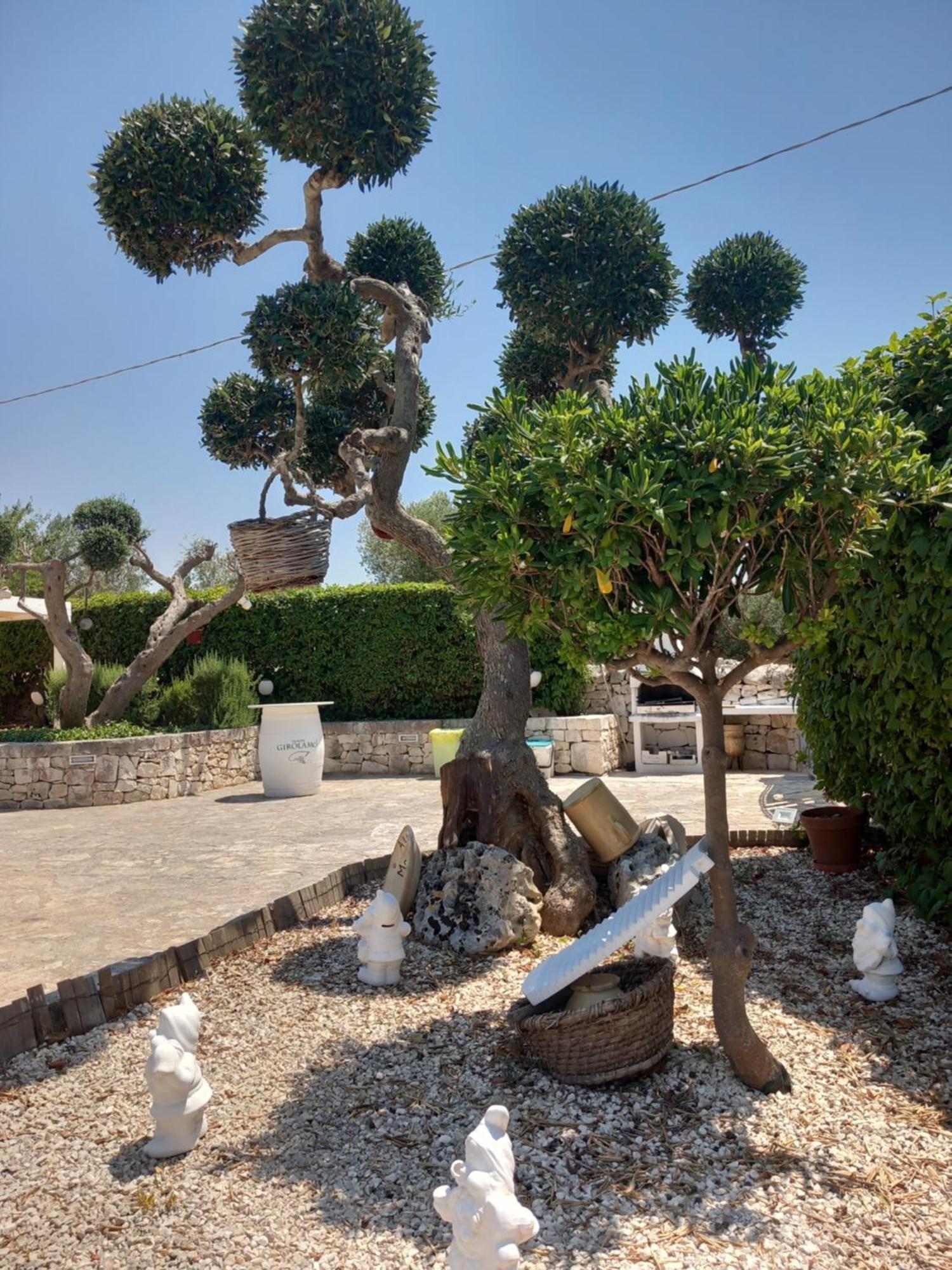 Гостьовий будинок Trullo Monte Del Sale Альберобелло Екстер'єр фото