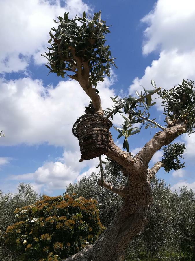 Гостьовий будинок Trullo Monte Del Sale Альберобелло Екстер'єр фото