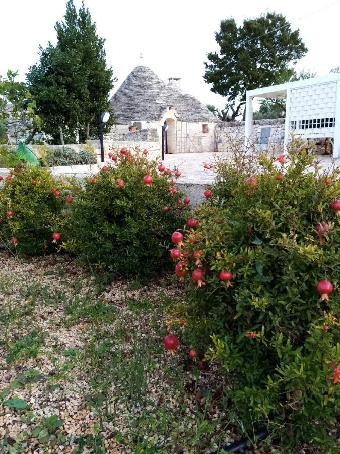 Гостьовий будинок Trullo Monte Del Sale Альберобелло Екстер'єр фото
